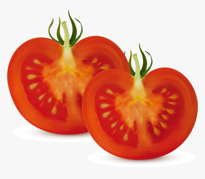 Bush Clipart Vegetable Plant - Tomato Cut In Half, HD Png Download, Free Download