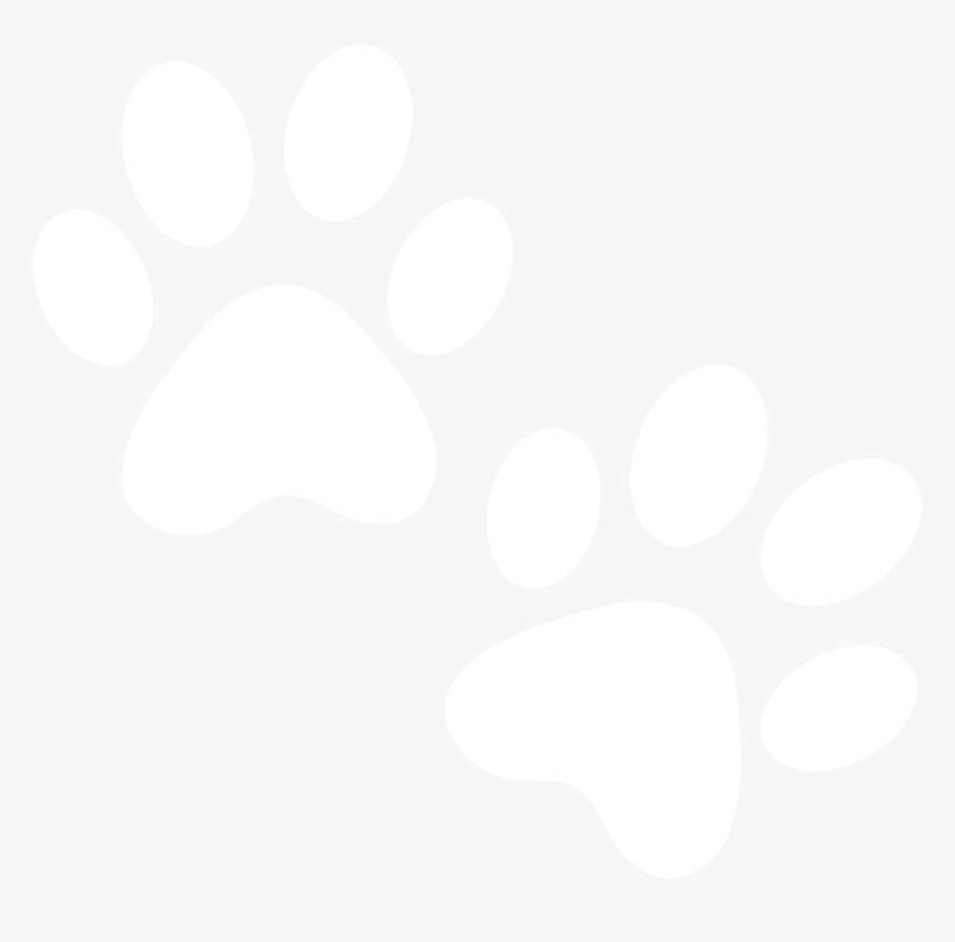 Transparent Pawprint Png - Illustration, Png Download, Free Download