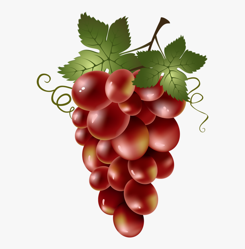 Soloveika Pinterest - Art Painting Fruits And Vegetables, HD Png Download, Free Download