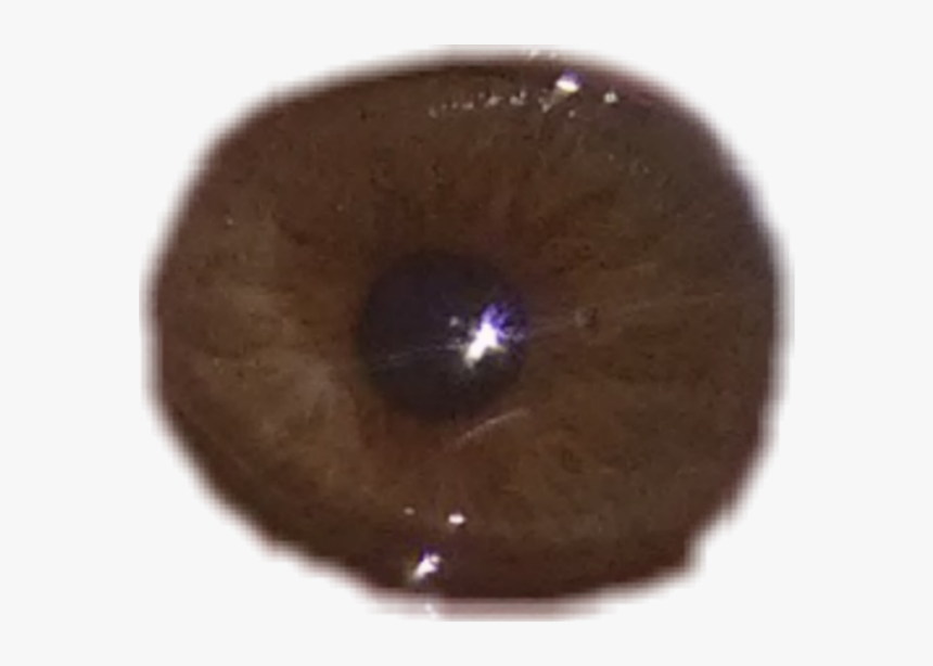This Is My Real Eye And Omg Taking This Photo Hurt - Close-up, HD Png Download, Free Download