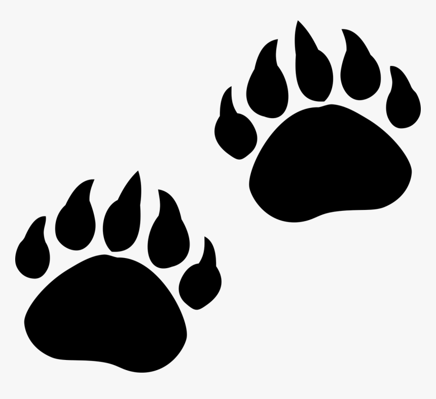 Download View Bear Claw Svg Free Pictures Free SVG files ...