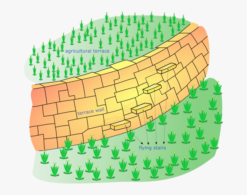 Diagram Showing A Terrace For Growing Food, Used By - Terrace Agriculture, HD Png Download, Free Download