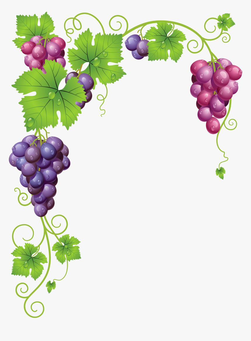 Transparent Vine Decor Png - Grape Vine Border Clip Art, Png Download, Free Download