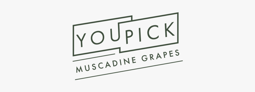 Youpick-03 - Graphics, HD Png Download, Free Download