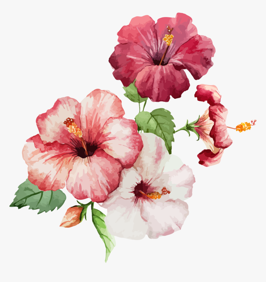 Flowers Illustration, HD Png Download, Free Download