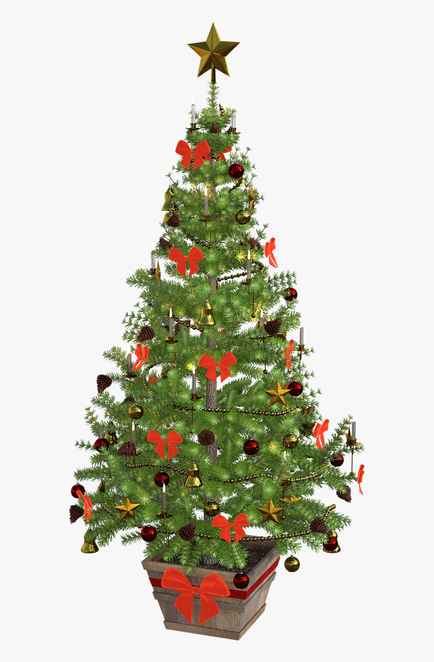 Christmas Tree Public Domain, HD Png Download, Free Download