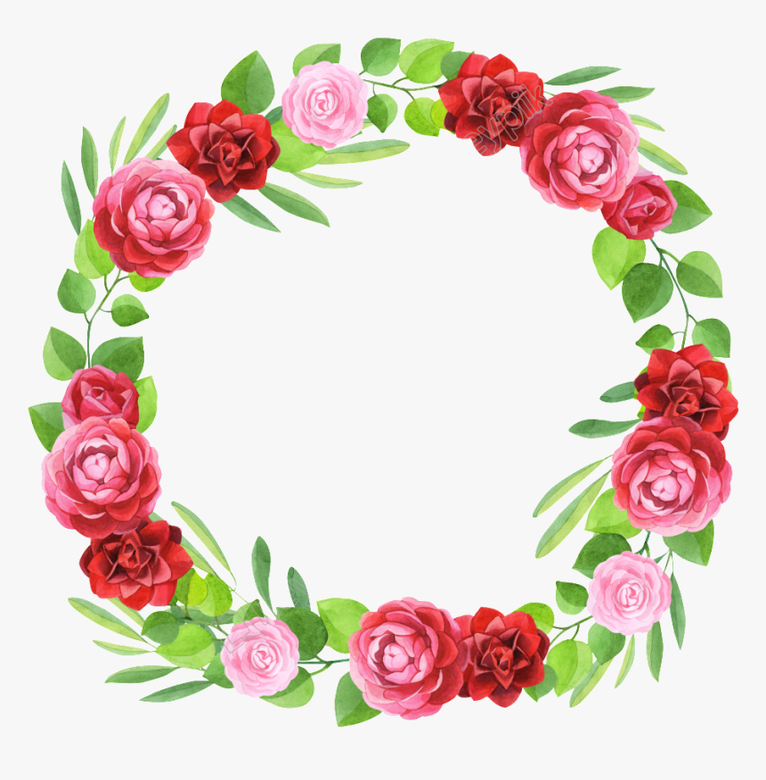 Hand Painted Three Colors Of Flowers Transparent - Rose Flower Garland Png, Png Download, Free Download