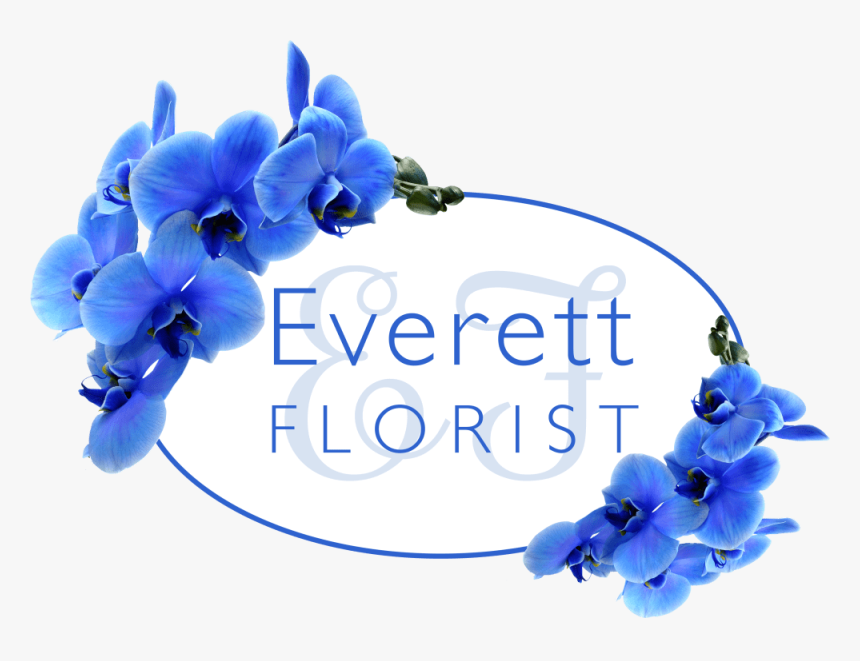 Everett, Ma Florist - Life, HD Png Download, Free Download