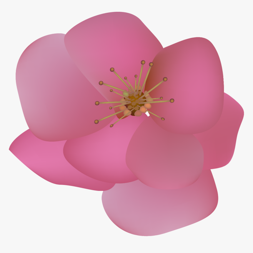 Blossom, HD Png Download, Free Download