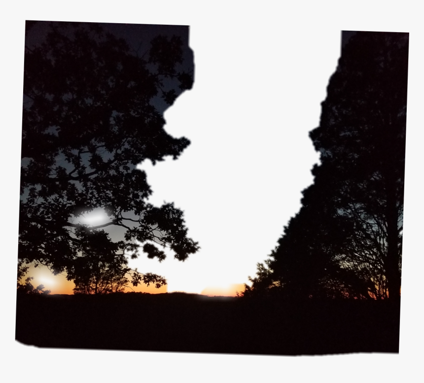 #treeline - Silhouette, HD Png Download, Free Download