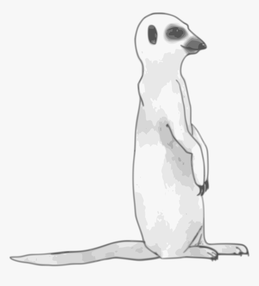 Transparent Mongoose Png - Meerkat Black And White, Png Download, Free Download