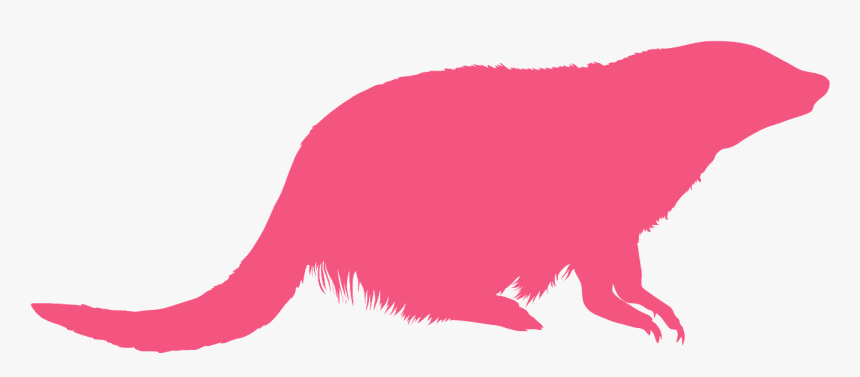 Mongooses Silhouette, HD Png Download, Free Download
