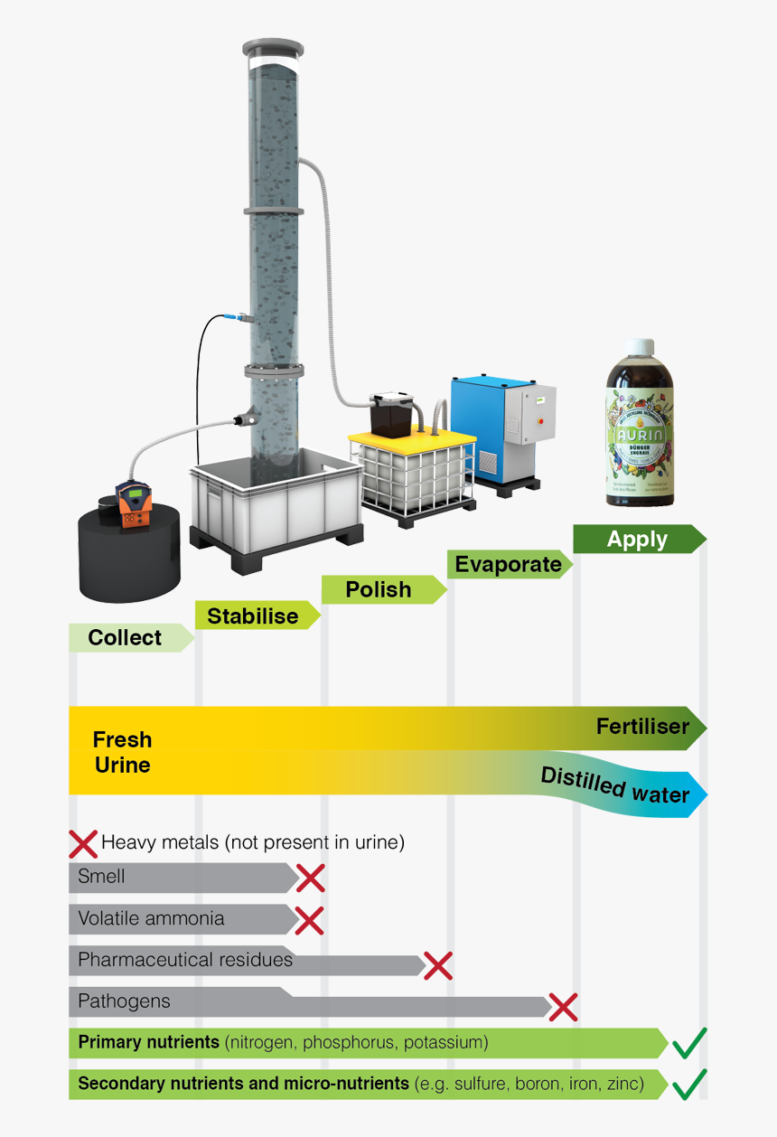 Aurin Fertilizer , Transparent Cartoons - Aurin Urine, HD Png Download, Free Download