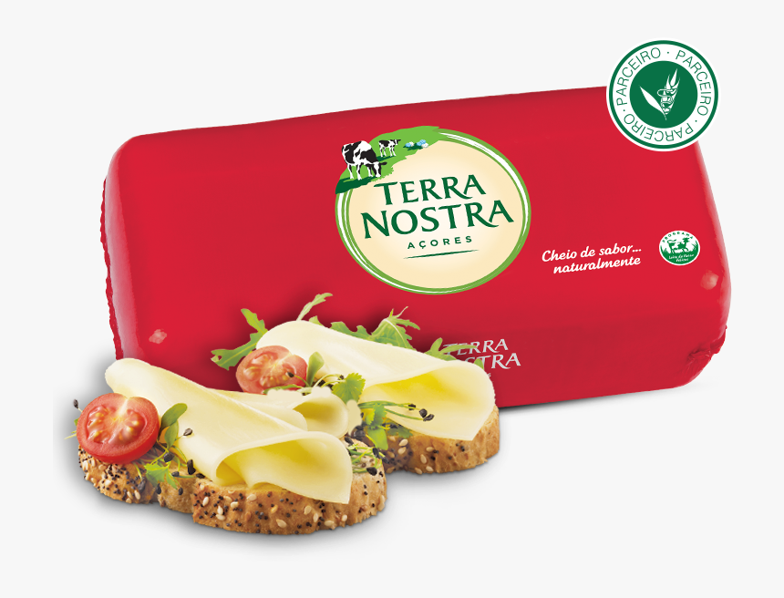 Terra Nostra Block - Terra Nostra Cheese Logo, HD Png Download, Free Download