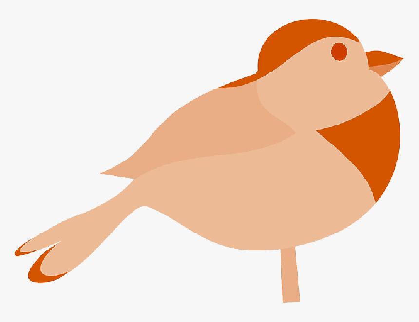 Robin Bird Silhouette - Bird Clip Art, HD Png Download, Free Download
