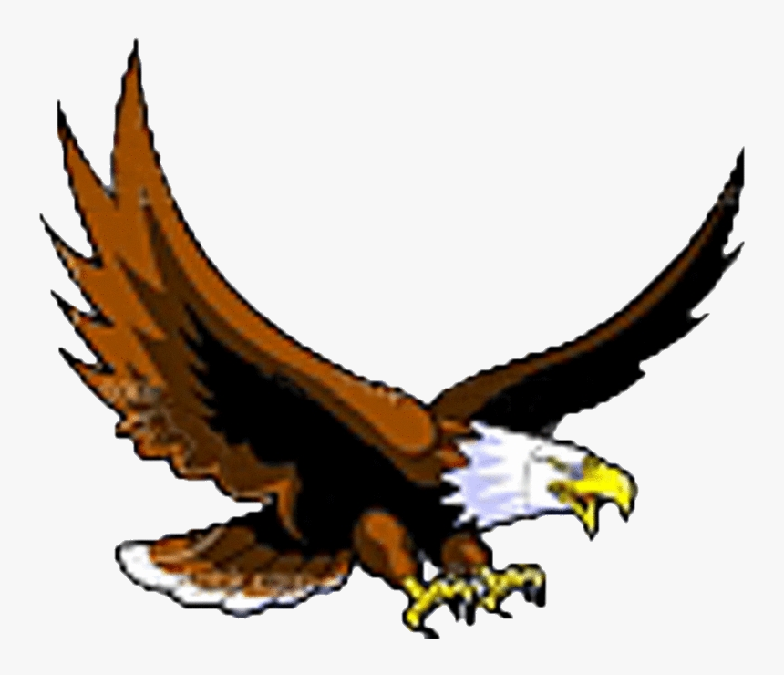 Cartoon Eagle Flying Animation