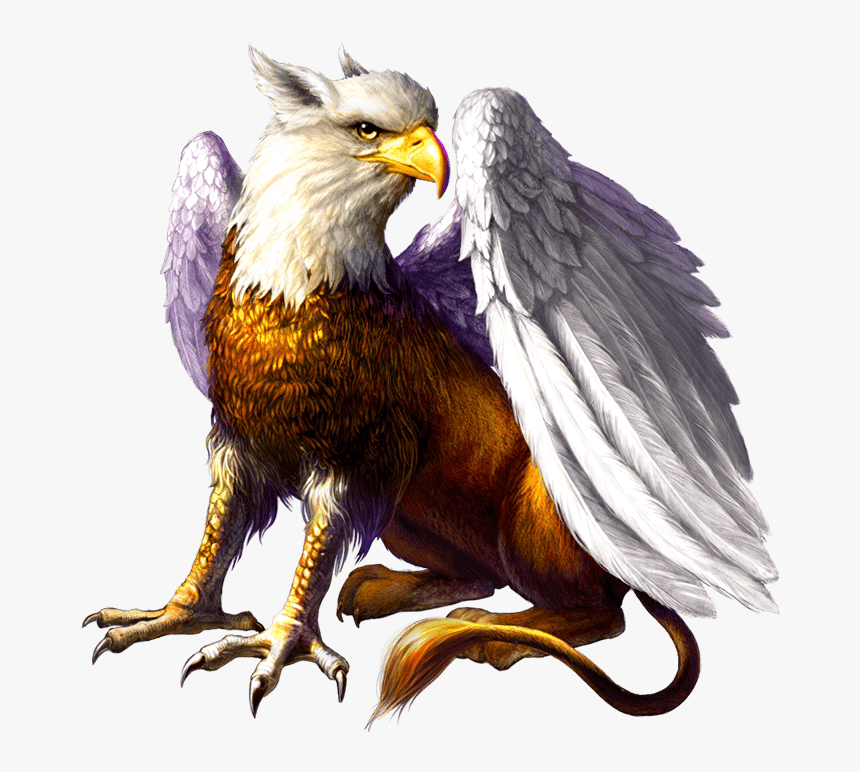 Transparent Gryphon Png - Gryphons Gold Deluxe, Png Download, Free Download