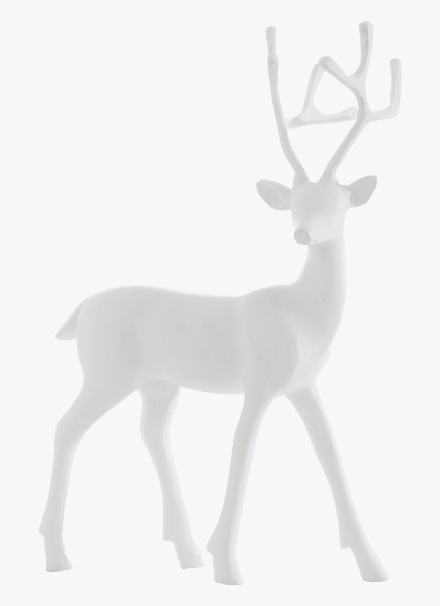 Elk, HD Png Download, Free Download