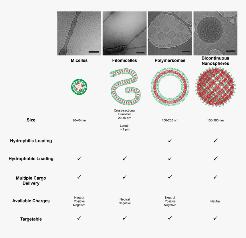 Transparent Loading Circle Png - Circle, Png Download, Free Download