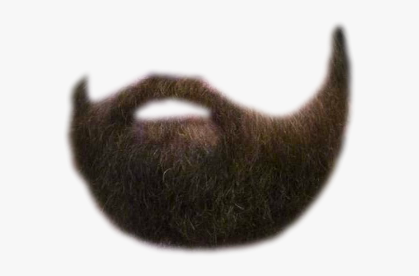 Beard Moustache Facial Hair Portable Network Graphics - Side View Beard Png, Transparent Png, Free Download