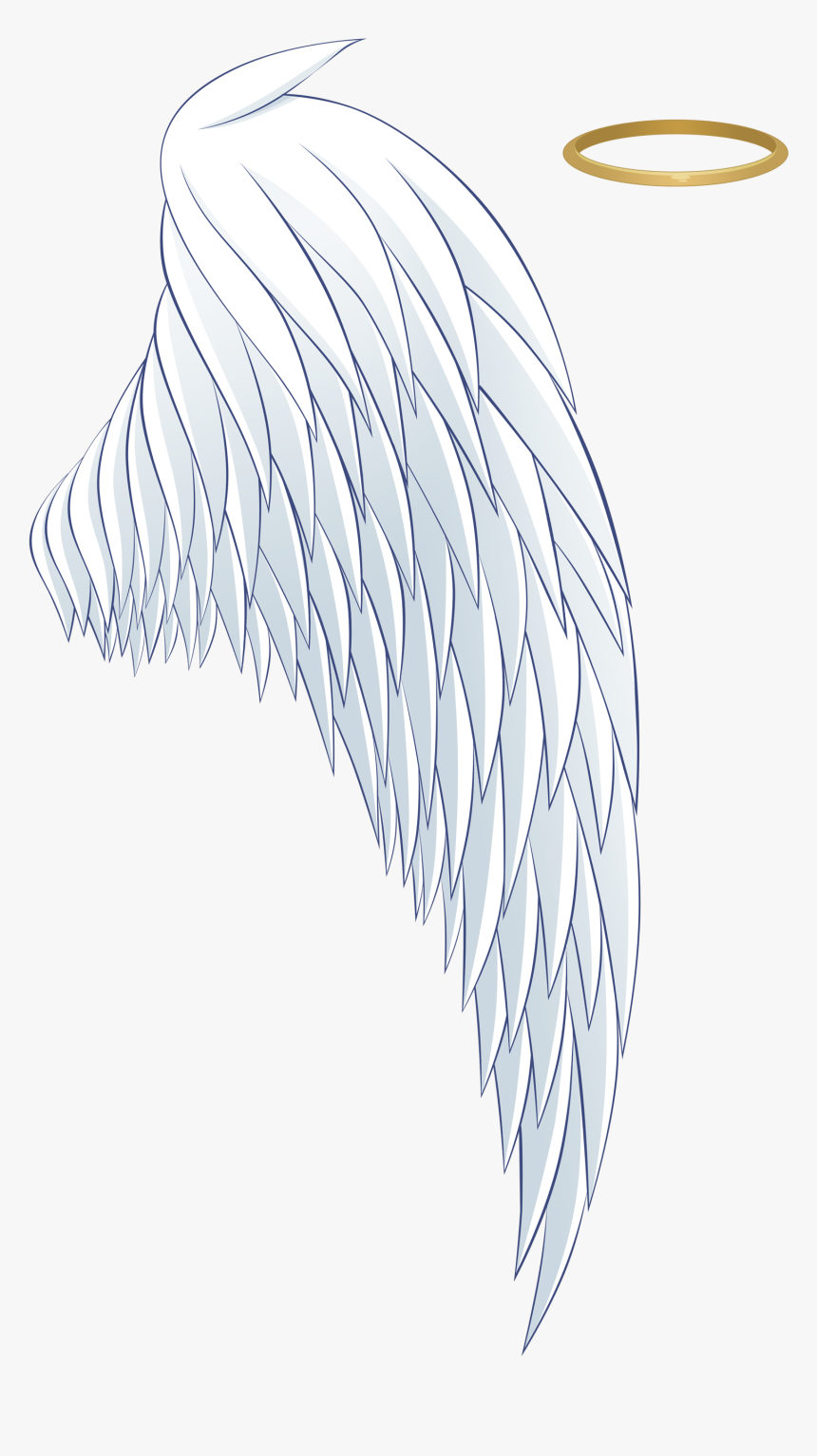 #asa #png #coroa #angels - Angel Wings And Halo Png, Transparent Png, Free Download