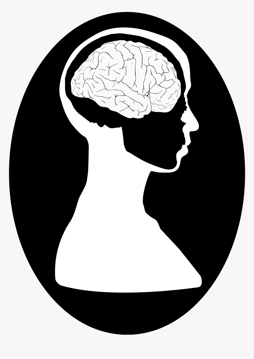 Transparent Brains Png - Brain And Head Drawing, Png Download, Free Download