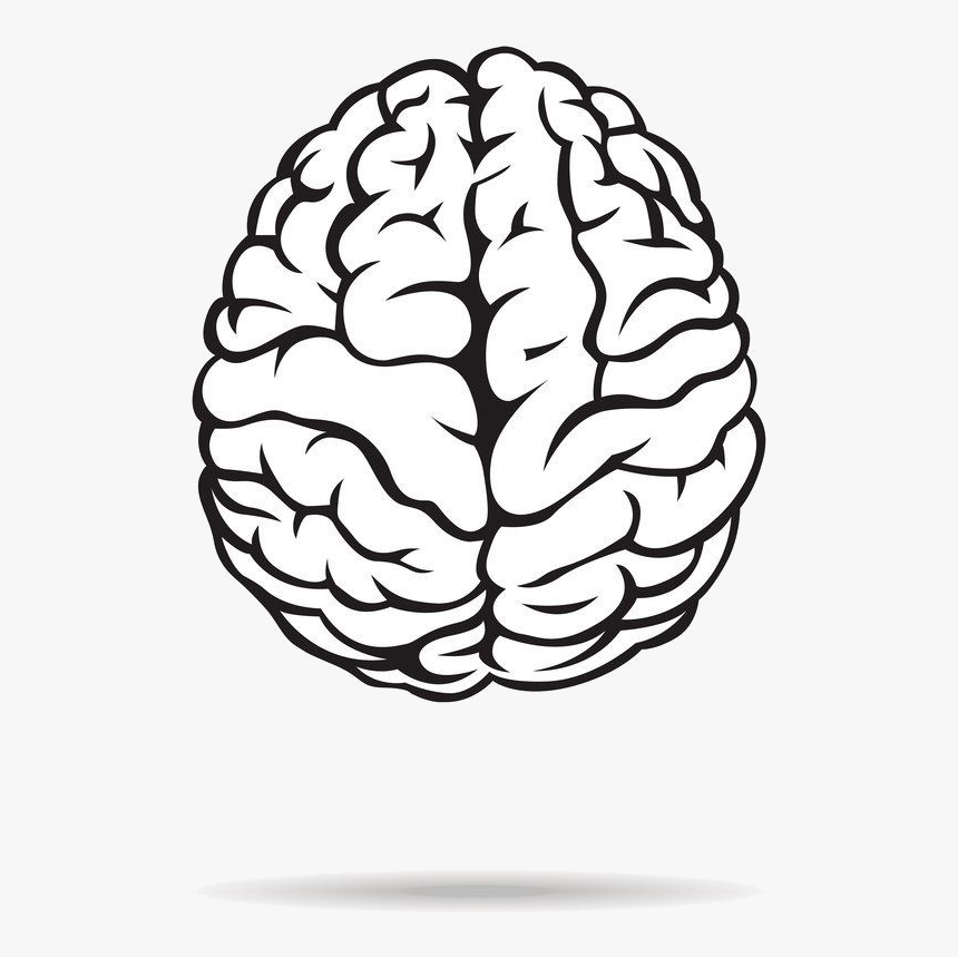 Brain Black And White Free Best Transparent Png - Black And White Brain, Png Download, Free Download