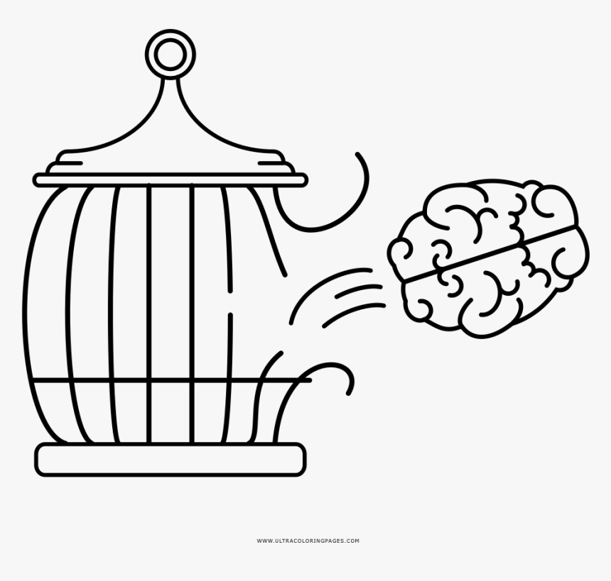 Free Brain Coloring Page - Bird Cage Color Page, HD Png Download, Free Download