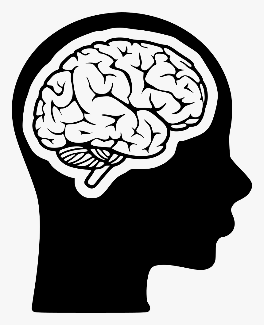 Brain pdf. Мозг в голове. Мозг нарисованный.