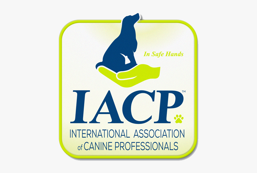 Iacp Logo Member Icon Rgb - Label, HD Png Download, Free Download
