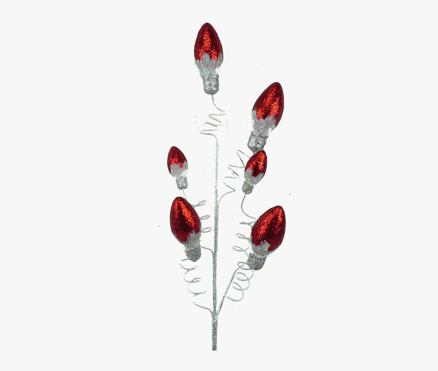 Earrings, HD Png Download, Free Download