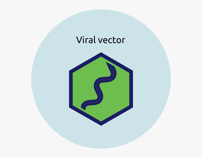 Viral Vector, HD Png Download, Free Download