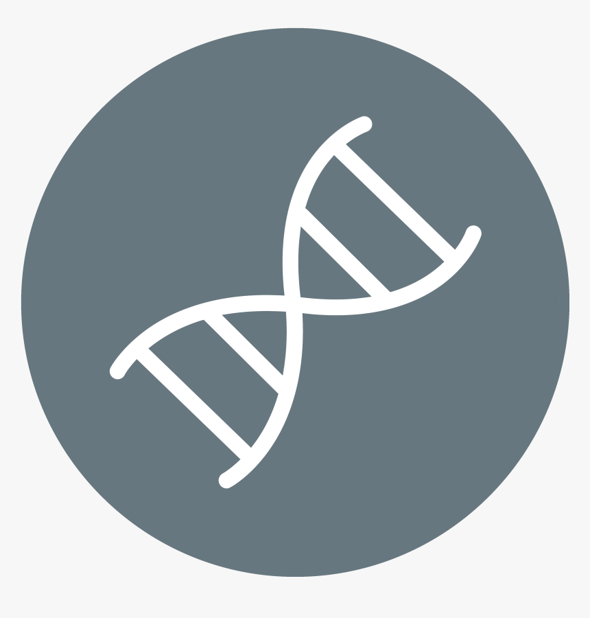 Dna Symbol Png - Angel Tube Station, Transparent Png, Free Download