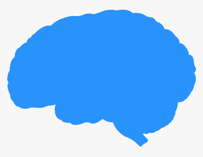 Does My Brain Work, HD Png Download, Free Download