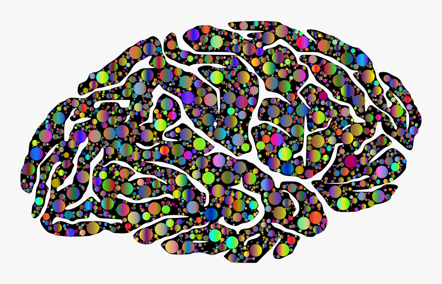 Brain Silhouette Circles Type Ii Polyprismatic With - Ocd Brain, HD Png Download, Free Download