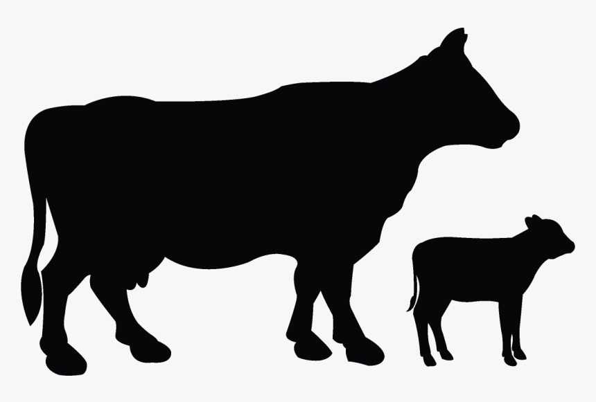 Pioneer Silhouette Clipart 3 By Patrick - Dairy Cow, HD Png Download, Free Download