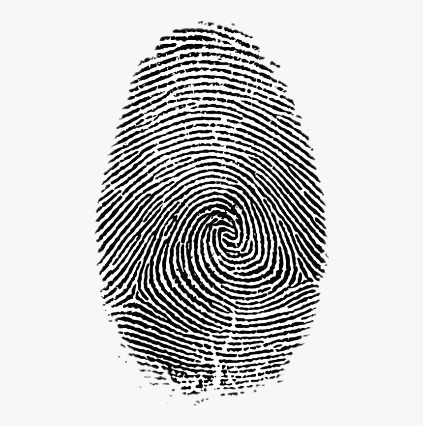 Transparent Fingerprints Clipart - Transparent Background Fingerprint Png, Png Download, Free Download