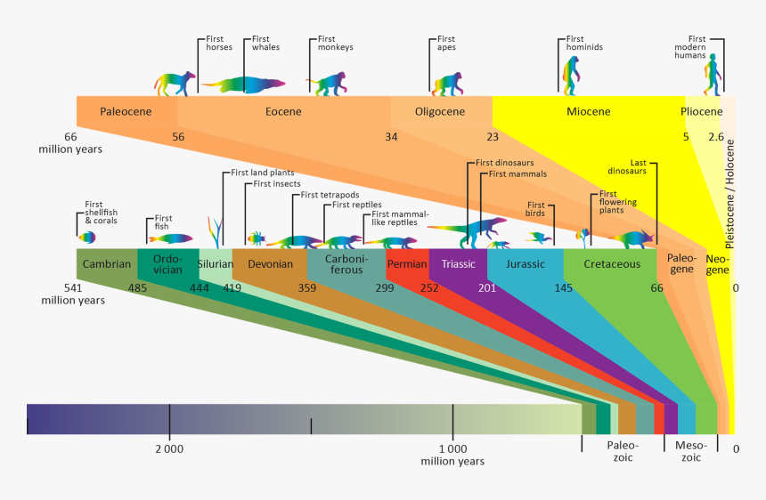 The Geological Timeline - Simplified Geological Time Scale, HD Png Download, Free Download