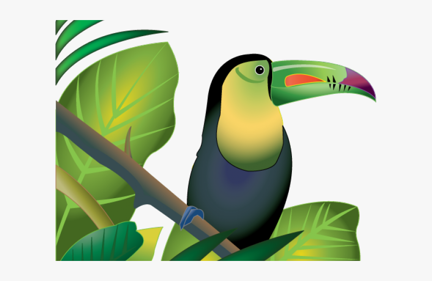 Rainforest Clip Art Png, Transparent Png, Free Download