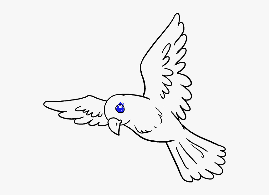 Transparent Bird Drawing Png - Draw A Small Bird, Png Download, Free Download