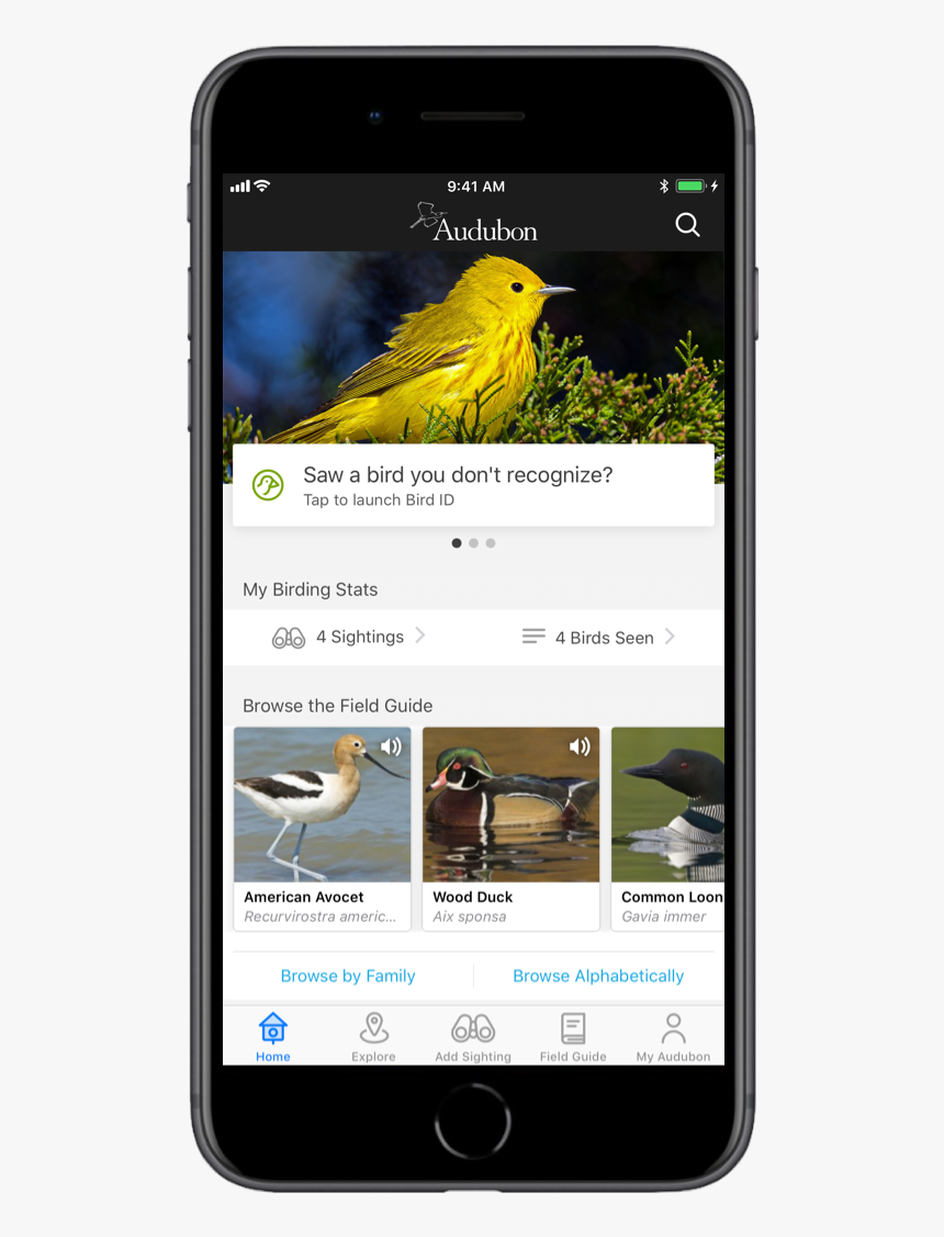 Birds Digital Encyclopedia, HD Png Download, Free Download