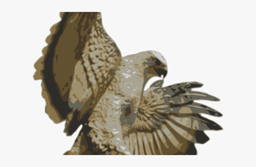 Transparent Peregrine Falcon Png - Ястреб На Охоте, Png Download, Free Download