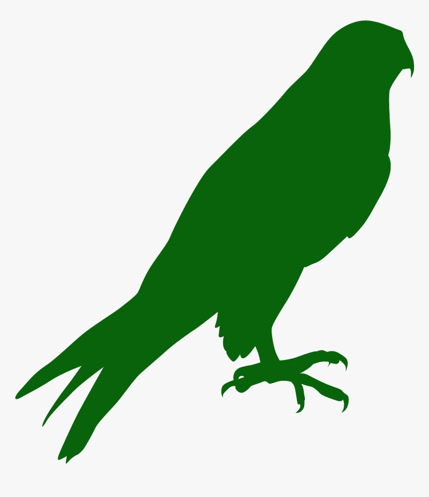 Parakeet, HD Png Download, Free Download