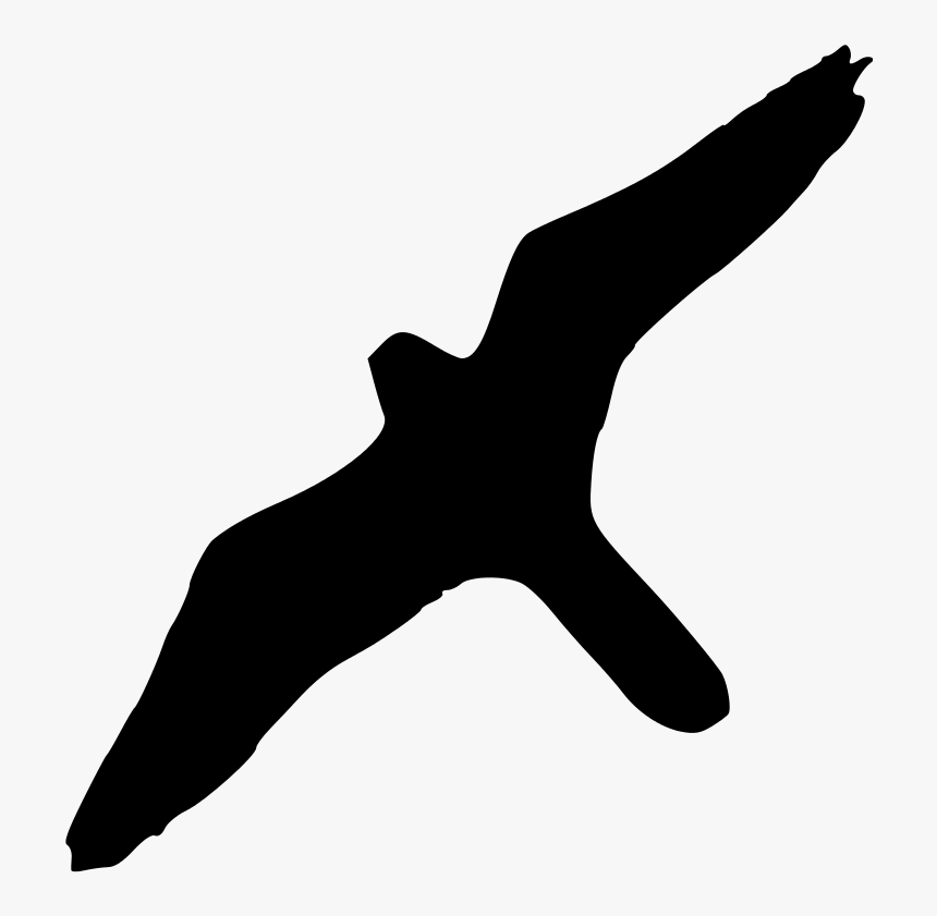 Peregrine Falcon Bird Of Prey Silhouette - Albatross Bird Clipart Transparent Background, HD Png Download, Free Download