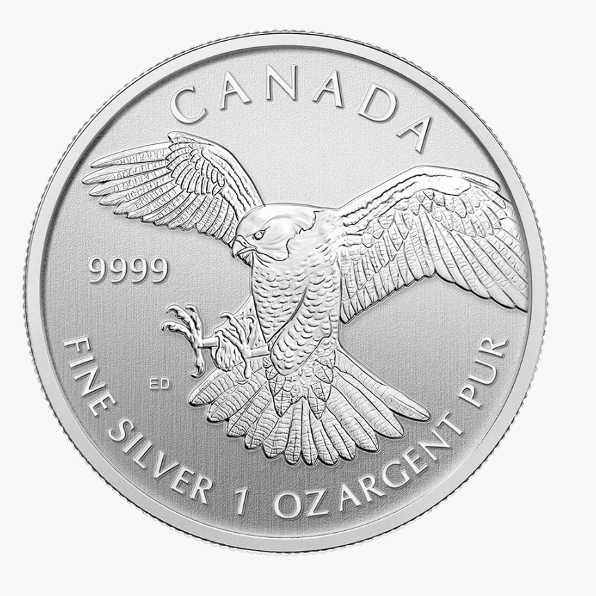 1 Ounce Silver Canadian Peregrine Falcon"
 Title="1 - 1 Oz Silver Canadian Peregrine Falcon, HD Png Download, Free Download