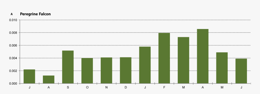 Peregrine Falcon Population 2019, HD Png Download, Free Download