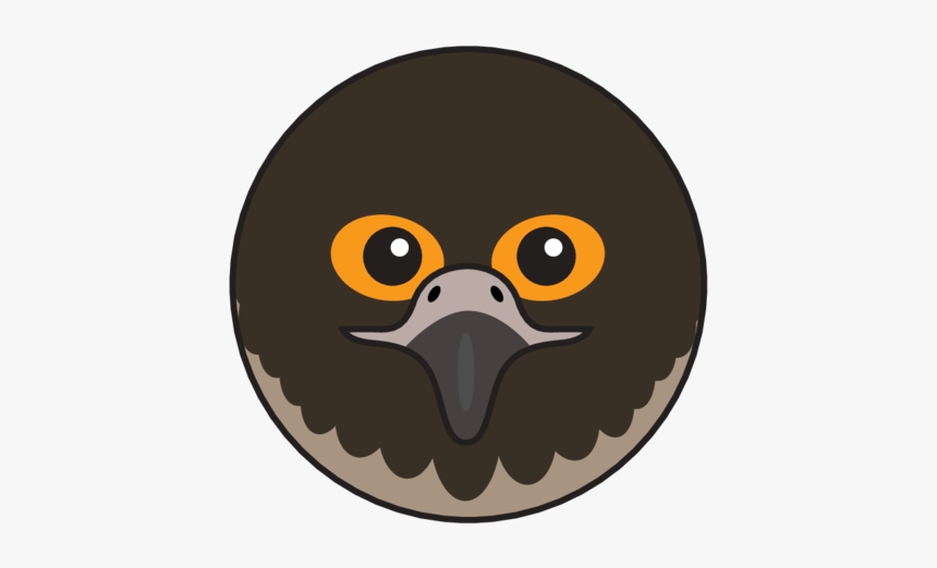 Animaru Peregrine Falcon - Cartoon, HD Png Download, Free Download