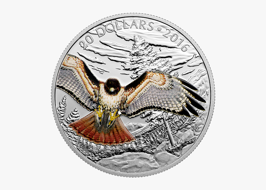 Eagle,bald Eagle,peregrine Falcon,bird,bird Of Eagle,badge,wing,sea - Hawk Coin, HD Png Download, Free Download