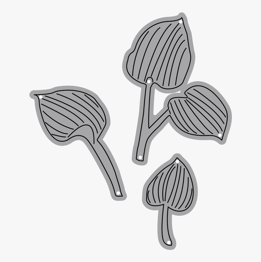 Garden Notes - Hosta Leaves - Illustration, HD Png Download, Free Download