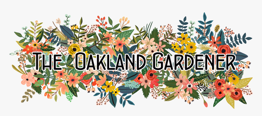The Oakland Gardener - Illustration, HD Png Download, Free Download